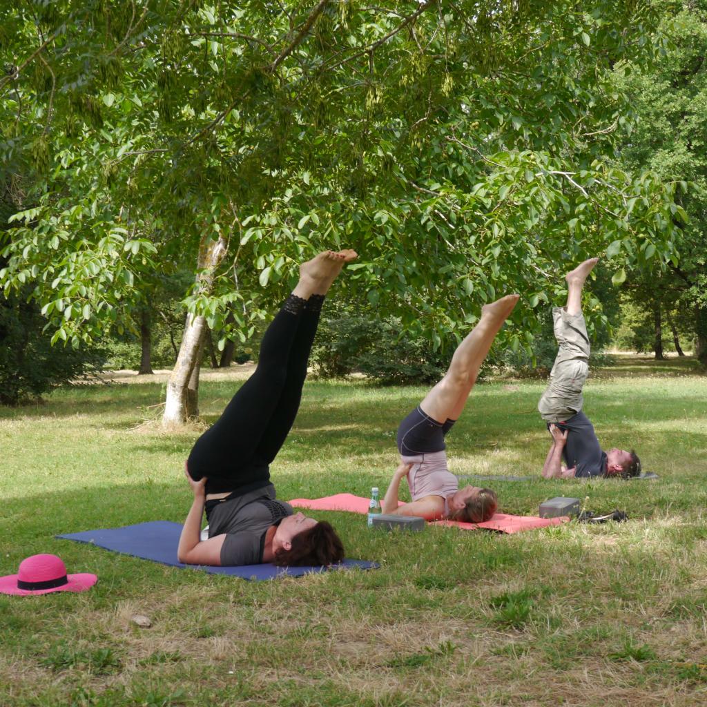 Sarvangasana