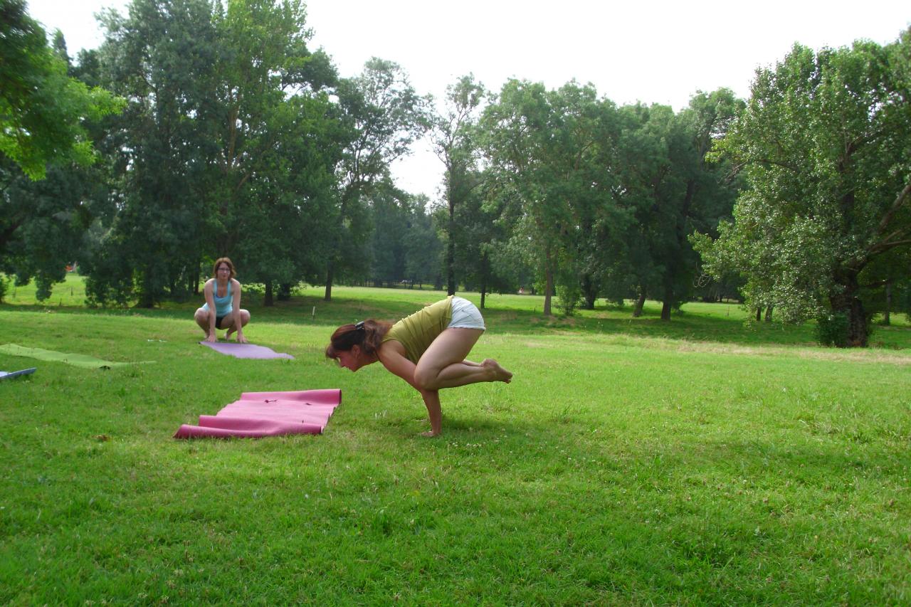 Bujapidasana 